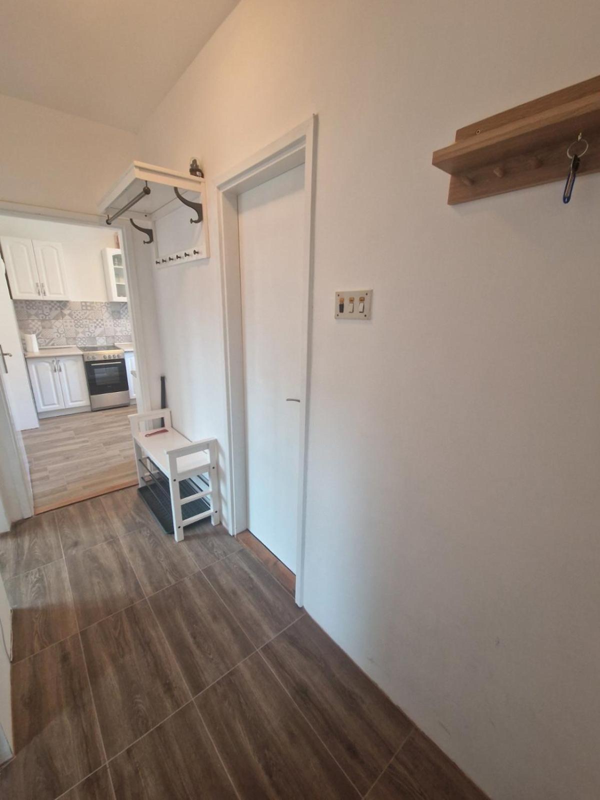 Apartmán Apartman Mamut Donji Milanovac Exteriér fotografie