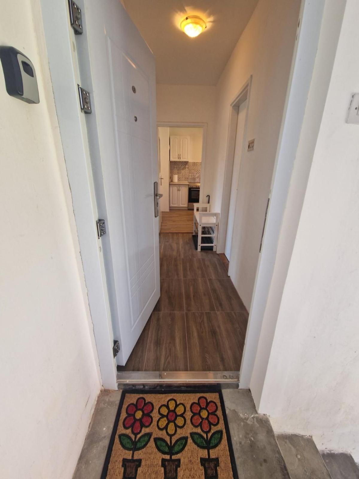 Apartmán Apartman Mamut Donji Milanovac Exteriér fotografie