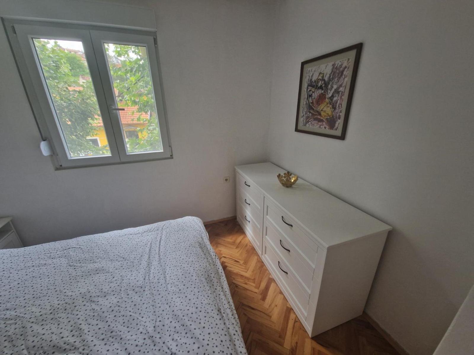 Apartmán Apartman Mamut Donji Milanovac Exteriér fotografie