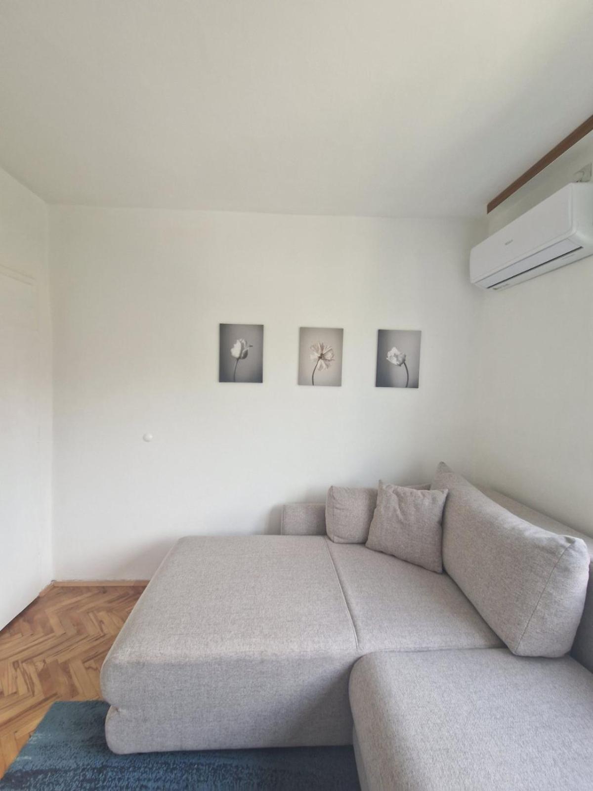 Apartmán Apartman Mamut Donji Milanovac Exteriér fotografie